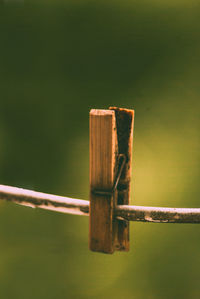 Close-up of barbed wire