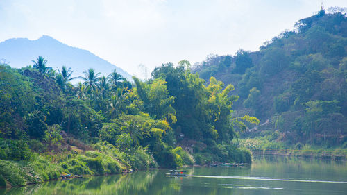 Scenic view of lake by trees against sky