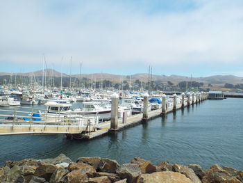 Boats moored in harbor against sky