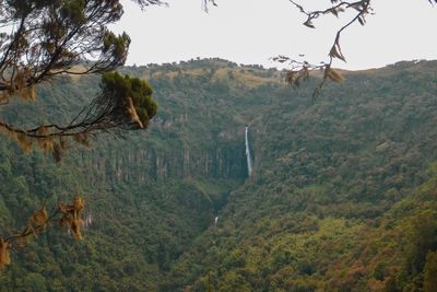 Scenic view of karuru waterfall in the aberdare national park, kenya