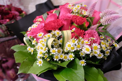 Close-up of flowering plant