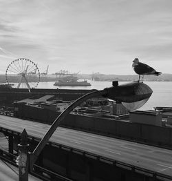 Seagulls perching on a boat against the sky