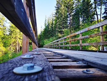Surface level of railway bridge in forest