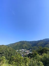 environment