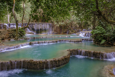 Scenic view of waterfall in forest