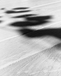 Full frame shot of tiled floor