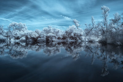 Reflection of trees in lake against sky