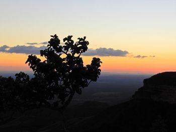 Silhouette tree on landscape against sky during sunset