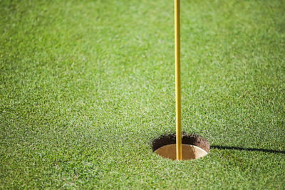 Close-up of golf ball