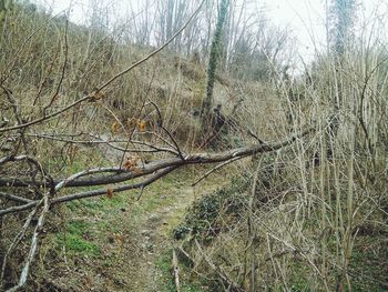 Full frame shot of white background