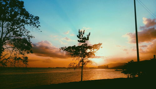 Silhouette tree by sea against sky during sunset