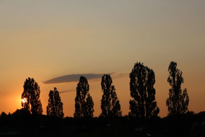 Silhouette trees against sky during sunset