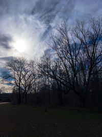 Silhouette bare trees against sky