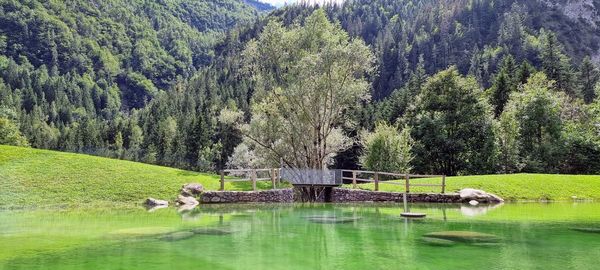 Scenic view of lake