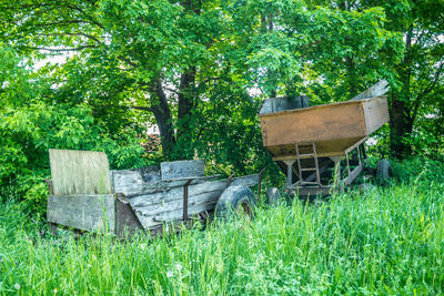 Old ruin amidst trees on field