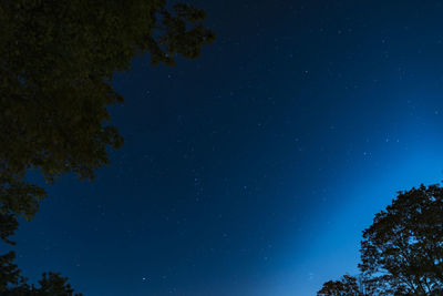 Low angle view of trees against blue sky