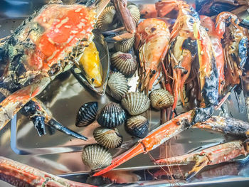 High angle view of fish for sale in market