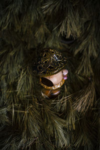 Ceramic mushroom between pine leafs