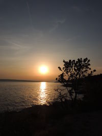 Silhouette trees by sea against sky during sunset