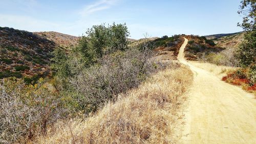 Dirt road passing through landscape