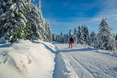 Rear view of man walking on snow covered land against sky