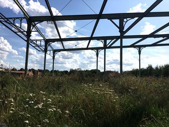 Plants on field against sky