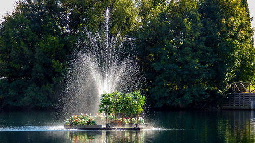 Water splashing in lake against trees