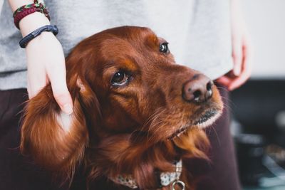 Close-up of man with dog