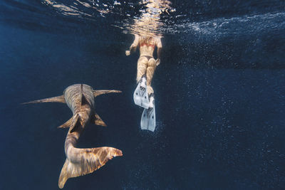 Woman by nurse shark swimming in sea