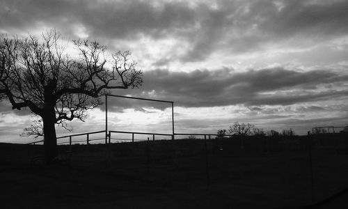 Bare trees on field against cloudy sky