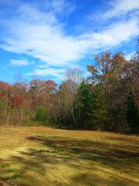 Scenic view of field against cloudy sky