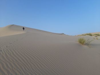 Walking to the top of dune in desert