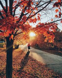 Rear view of amputee person walking on street during autumn