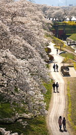 High angle view of people walking on road