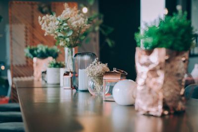 Close-up of potted plants in glass jar on table