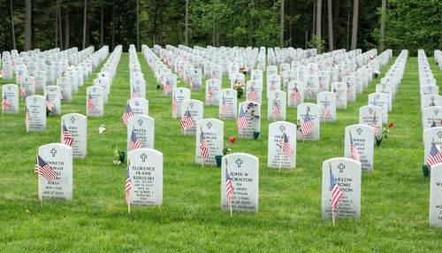 View of cemetery