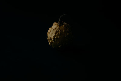 Close-up of cake against black background