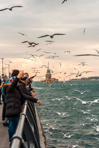 Birds flying over sea against sky during sunset