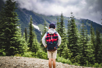 Rear view of man looking at forest