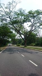 Empty road by trees in city against sky