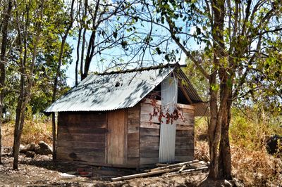 House amidst trees in forest