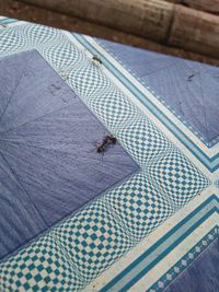 High angle view of insect on wood