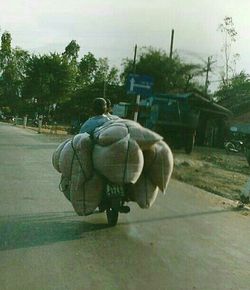 View of trees against sky
