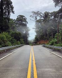 Empty road along trees