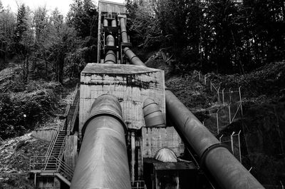 Low angle view of built structure against trees