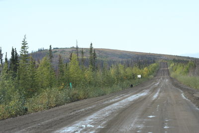 Road amidst trees against clear sky