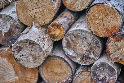 Full frame shot of logs