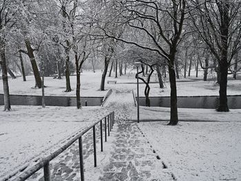 Bare trees on snow covered landscape