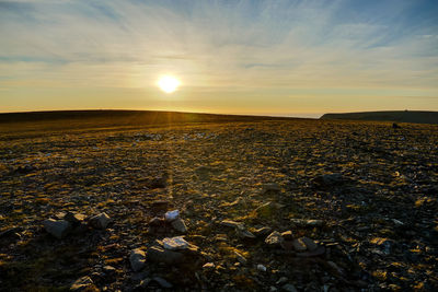 Scenic view of field against sky during sunset