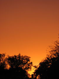 Low angle view of silhouette trees against orange sky